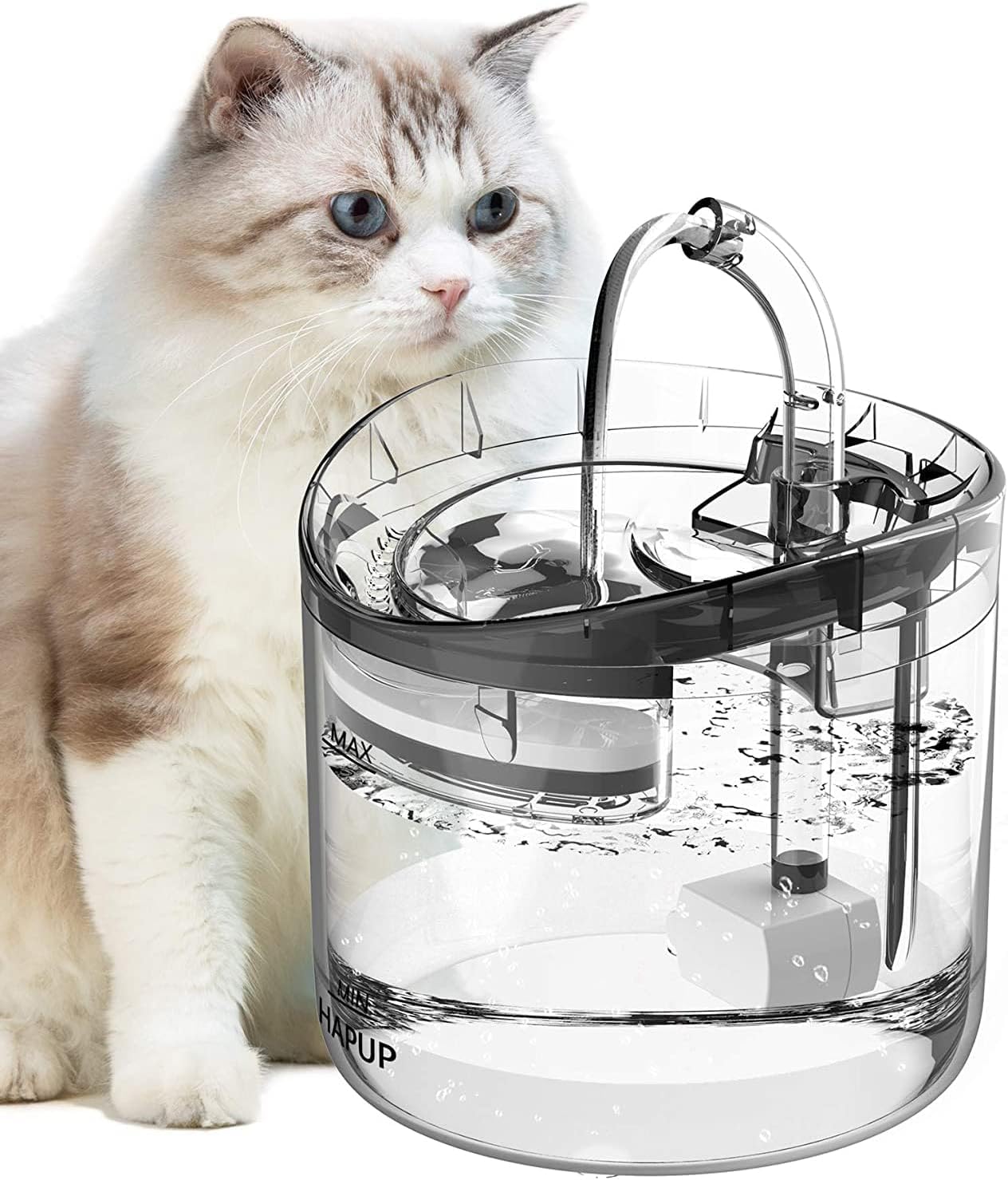 Bebedero Inteligente para Gatos con Sensor de Circulación Automático
