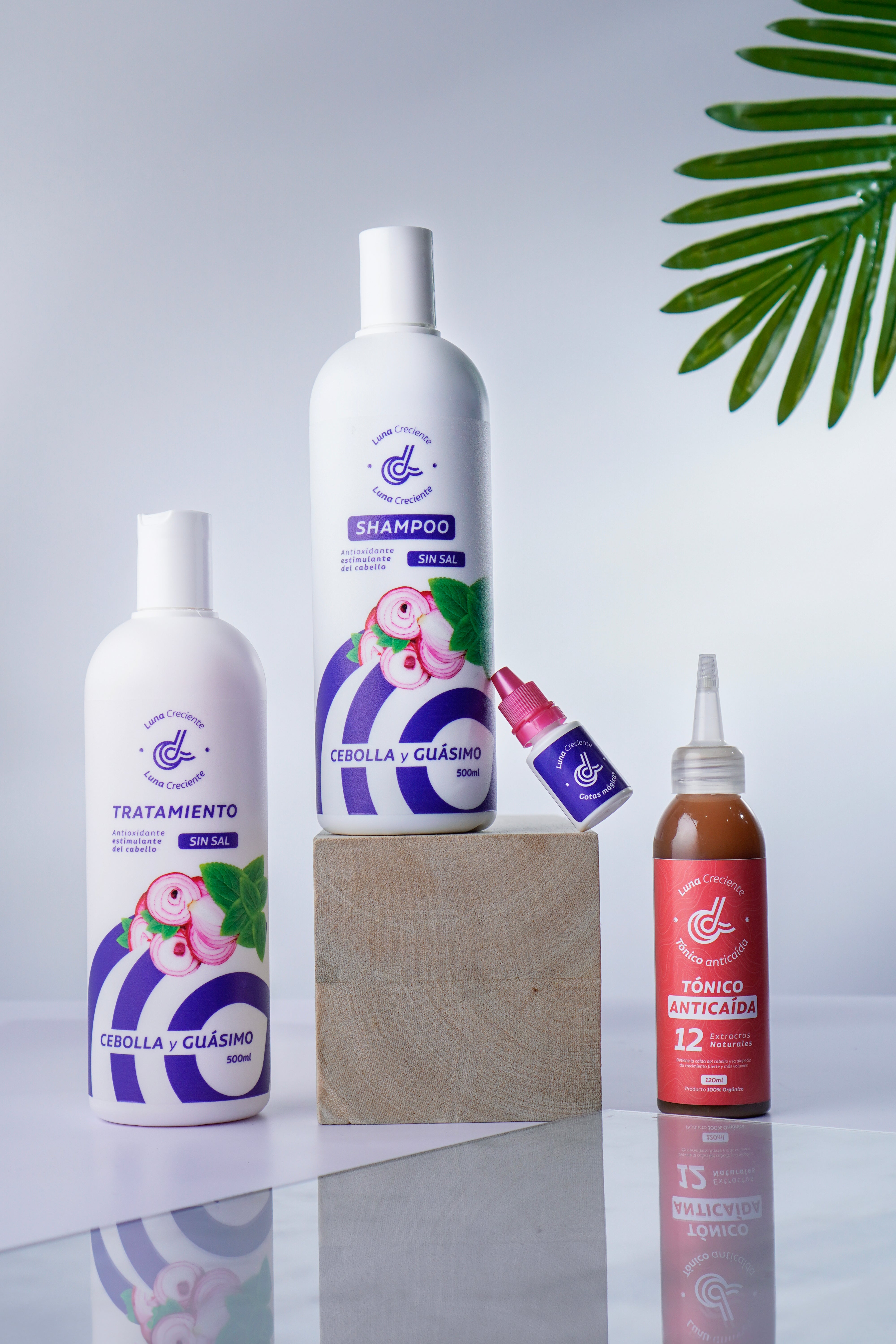 KIT ANTI-CAÍDA EXCESIVA, CRECIMIENTO